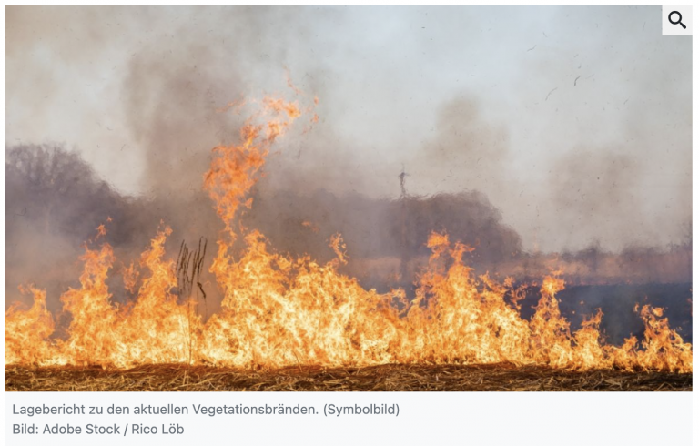 Waldbrand in Kasachstan im Juni 2023: Das müssen Sie über die Katastrophe wissen