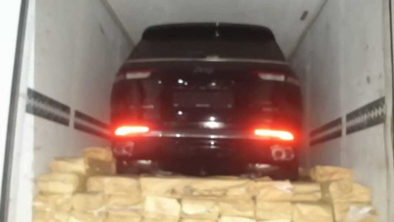 21 Tonnen gefrorener Fisch wurden illegal aus Russland nach Kirgisistan importiert – Landwirtschaftsministerium