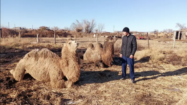 Wie leben Menschen in Dörfern, in denen sie keinen Alkohol trinken und kein Vieh stehlen?