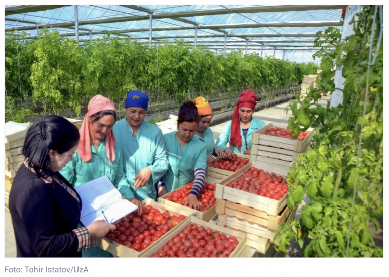 Die EU stellte 6 Millionen Euro für die Entwicklung der Landwirtschaft in Usbekistan bereit