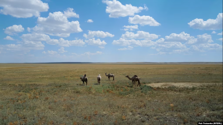 Kazakstan hat mit den zentralasiatischen Ländern Vereinbarungen getroffen, die bis April 2025 die Lieferung von 11 Milliarden Kubikmetern Wasser über den Fluss Syrdarja vorsehen.